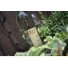 Riesling 1L